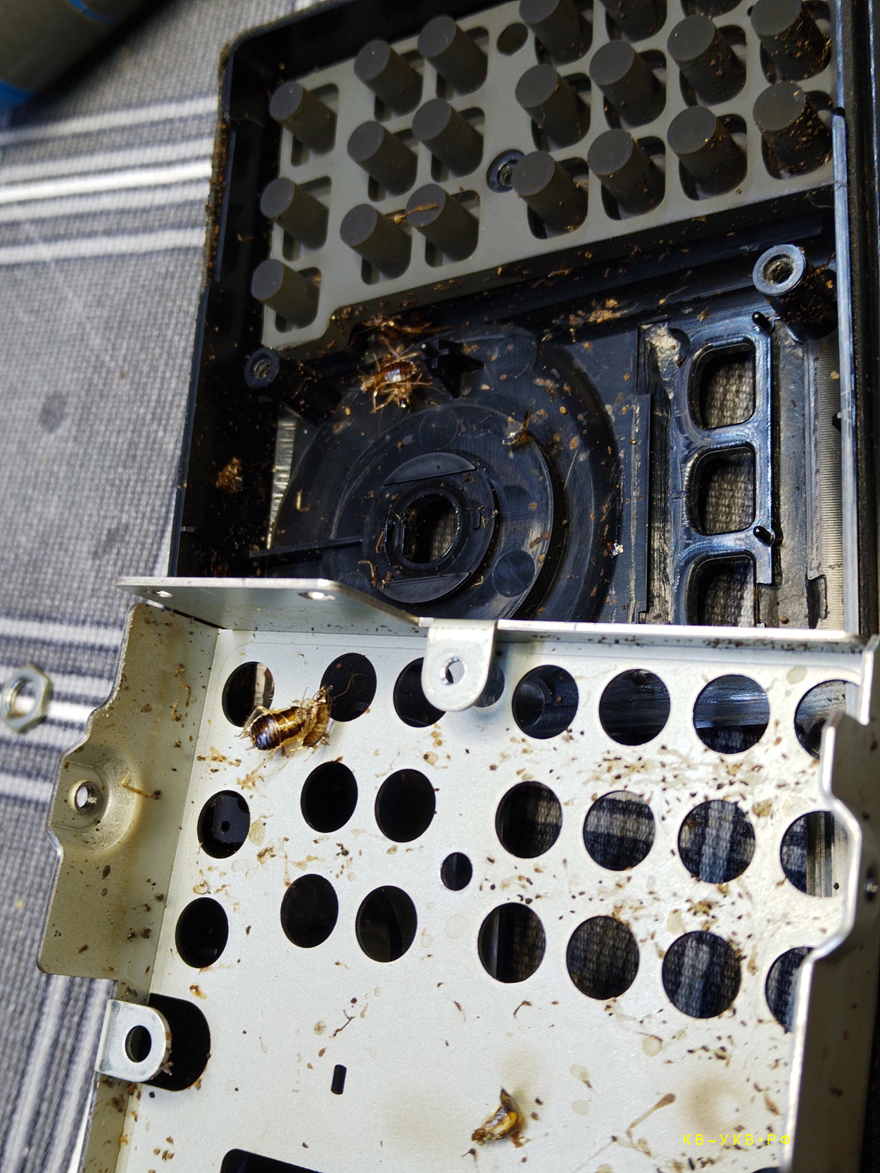 Icom IC-718, �� ����������
